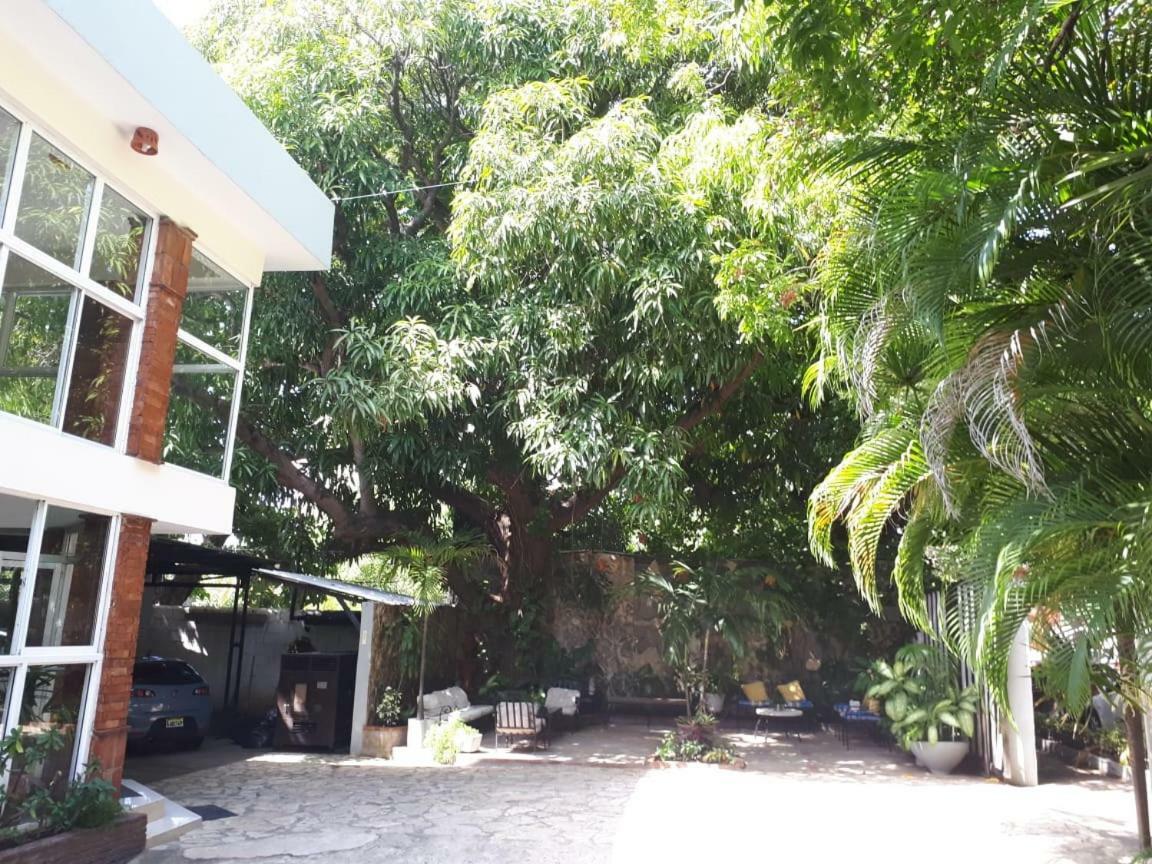 Hotel Alcaldeza - Garden House Maria Guadalupe Saint-Domingue Extérieur photo