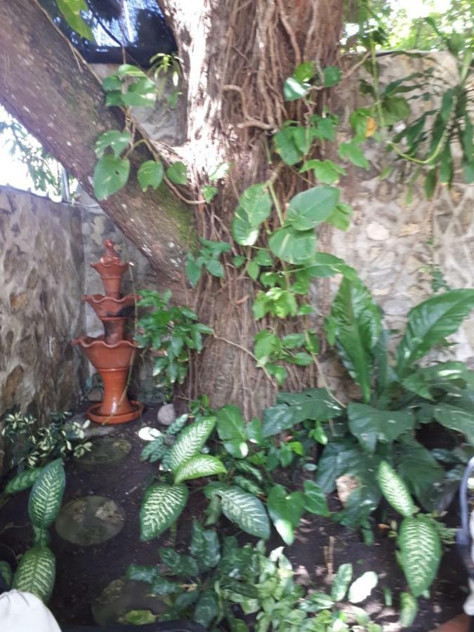 Hotel Alcaldeza - Garden House Maria Guadalupe Saint-Domingue Extérieur photo