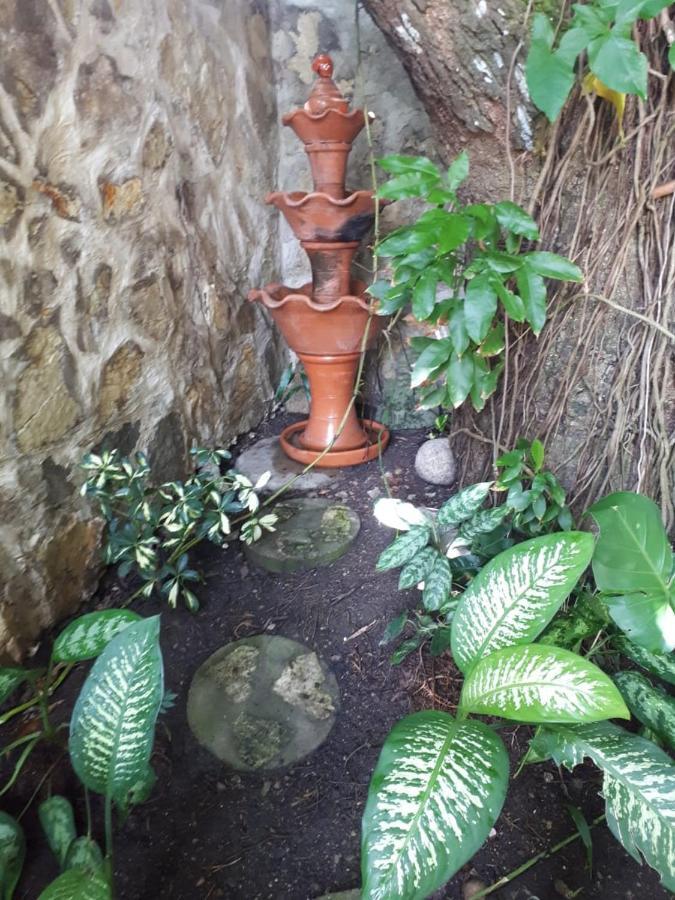 Hotel Alcaldeza - Garden House Maria Guadalupe Saint-Domingue Extérieur photo